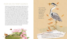 Inspirationen: Mein kleines Paradies für Vögel (Bastin)